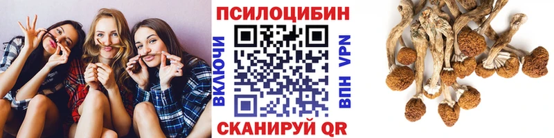 Галлюциногенные грибы мухоморы  Купить  Семилуки 